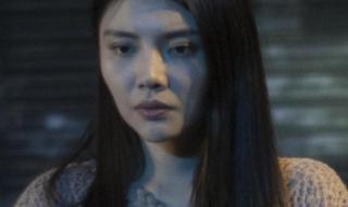 吴启华主演的电影 吴启华主演的电影